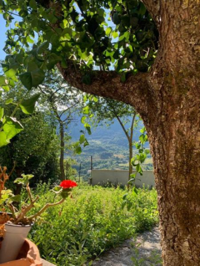 B&B Al San Francesco Castel Di Sangro